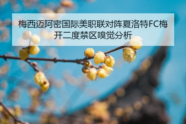 mei-xi-mai-a-mi-guo-ji-mei-zhi-lian-dui-zhen-xia-luo-te-mei-kai-er-du-jin-qu-xiu-jue-fen-xi-3-639.jpg